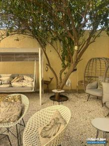 غزال دماني ذكر غزال الريم انثى للبيع 3700