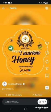 نحل ومستلزمات النحل Bees Honey